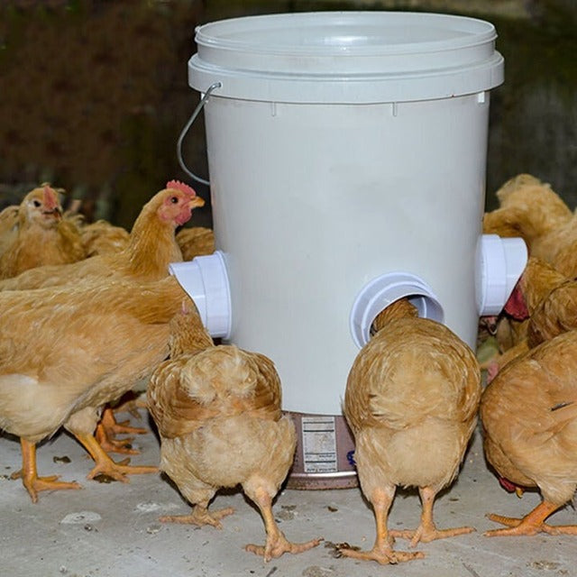(š„ NEW-50% OFF)DIY Chicken Feeder