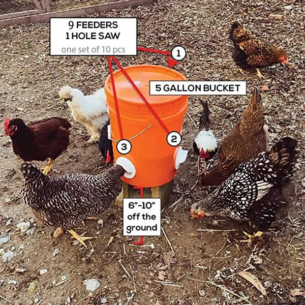 (š„ NEW-50% OFF)DIY Chicken Feeder
