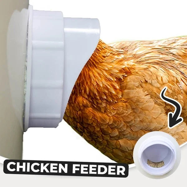 (š„ NEW-50% OFF)DIY Chicken Feeder